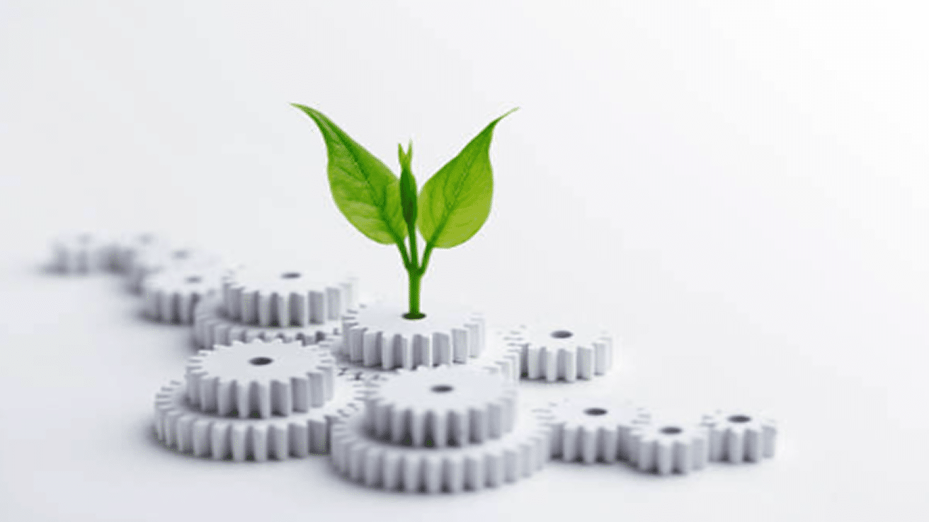 Engrenage image Notre Vision